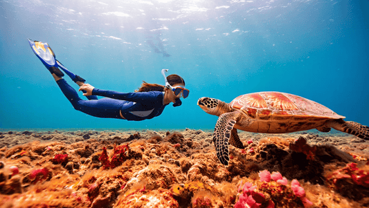 Reef-Safe Sun Protection: Shield Your Skin & Save Coral
